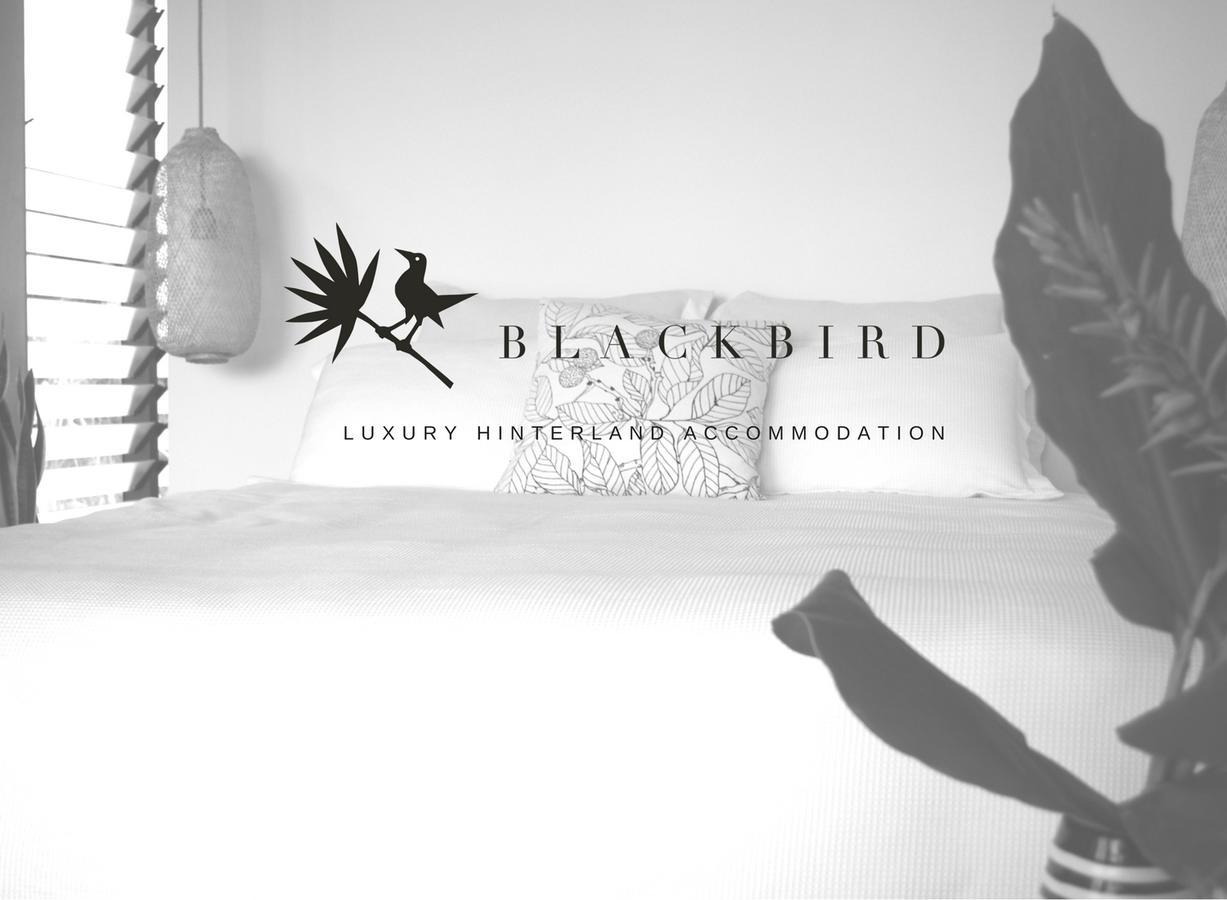 Blackbird Luxury Accommodation Mullumbimby Exterior photo